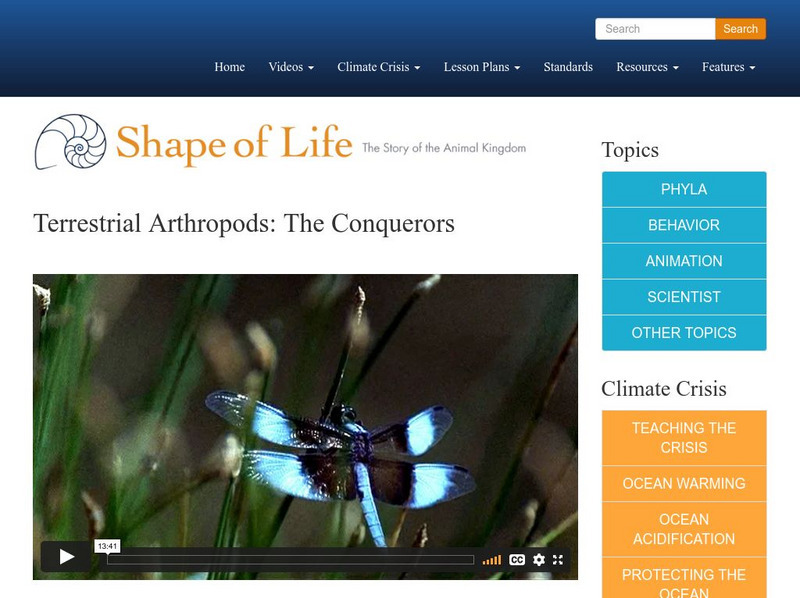Shape of Life: Terrestrial Arthropods: The Conquerors Instructional Video Shape of Life: Terrestrial Arthropods: The Conquerors Instructional Video