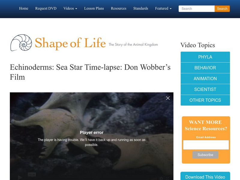 Shape of Life: Echinoderms: Sea Star Time Lapse: Don Wobber's Film Instructional Video Shape of Life: Echinoderms: Sea Star Time Lapse: Don Wobber's Film Instructional Video