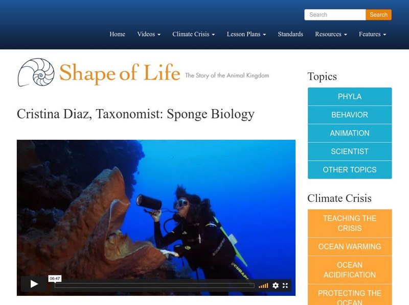 Shape of Life: Cristina Diaz: Taxonomist: Sponge Biology Instructional Video Shape of Life: Cristina Diaz: Taxonomist: Sponge Biology Instructional Video