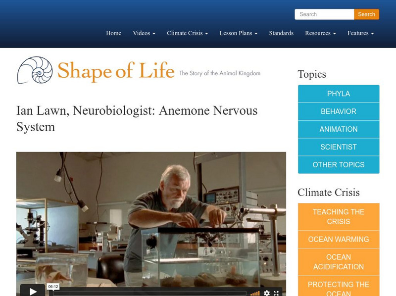 Shape of Life: Ian Lawn, Neurobiologist: Anemone Nervous System Instructional Video Shape of Life: Ian Lawn, Neurobiologist: Anemone Nervous System Instructional Video