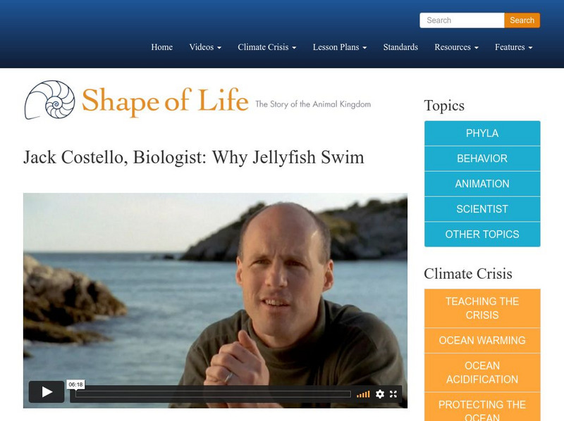 Shape of Life: Jack Costello, Biologist: Why Jellyfish Swim Instructional Video Shape of Life: Jack Costello, Biologist: Why Jellyfish Swim Instructional Video