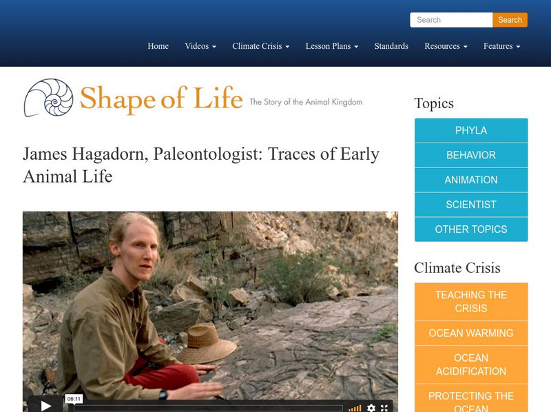 Shape of Life: James Hagadorn, Paleontologist: Traces of Early Animal Life Instructional Video Shape of Life: James Hagadorn, Paleontologist: Traces of Early Animal Life Instructional Video