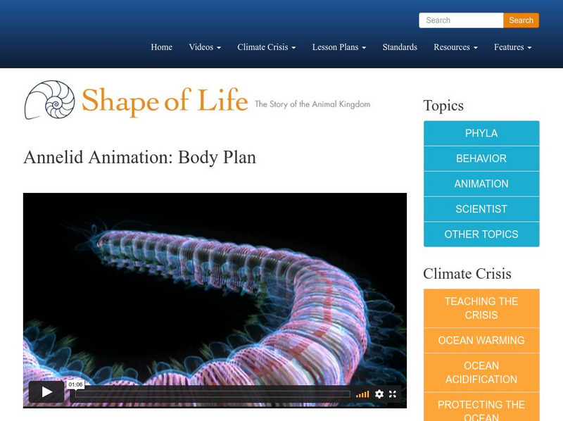 Shape of Life: Annelid Animation: Body Plan Instructional Video Shape of Life: Annelid Animation: Body Plan Instructional Video