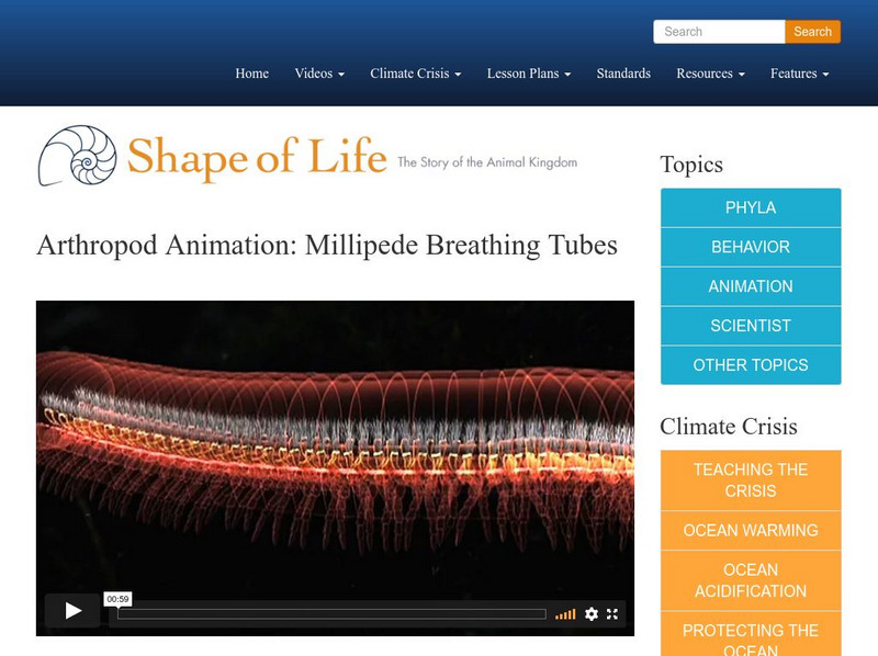 Shape of Life: Arthropod Animation: Millipede Breathing Tubes Instructional Video Shape of Life: Arthropod Animation: Millipede Breathing Tubes Instructional Video