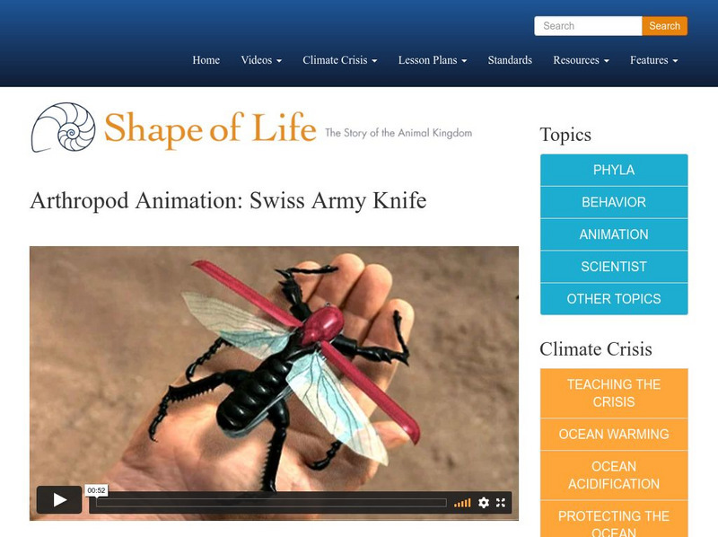 Shape of Life: Arthropod Animation: Swiss Army Knife Instructional Video Shape of Life: Arthropod Animation: Swiss Army Knife Instructional Video