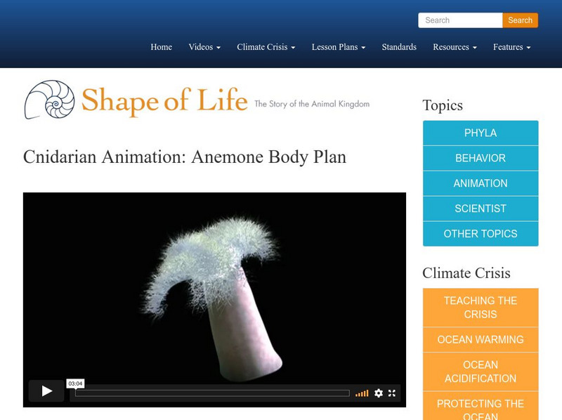Shape of Life: Cnidarian Animation: Anenome Body Plan Instructional Video Shape of Life: Cnidarian Animation: Anenome Body Plan Instructional Video