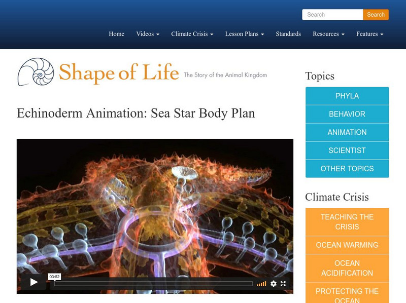 Shape of Life: Echinoderm Animation: Sea Star Body Plan Instructional Video Shape of Life: Echinoderm Animation: Sea Star Body Plan Instructional Video