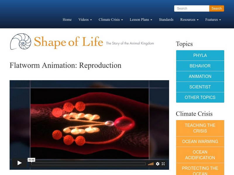 Shape of Life: Flatworm Animation: Reproduction Instructional Video Shape of Life: Flatworm Animation: Reproduction Instructional Video