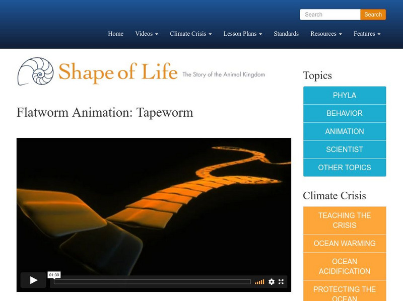 Shape of Life: Flatworm Animation: Tapeworm Instructional Video Shape of Life: Flatworm Animation: Tapeworm Instructional Video