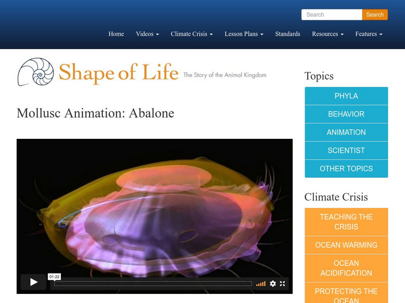 Shape of Life: Mollusc Animation: Abalone Instructional Video Shape of Life: Mollusc Animation: Abalone Instructional Video
