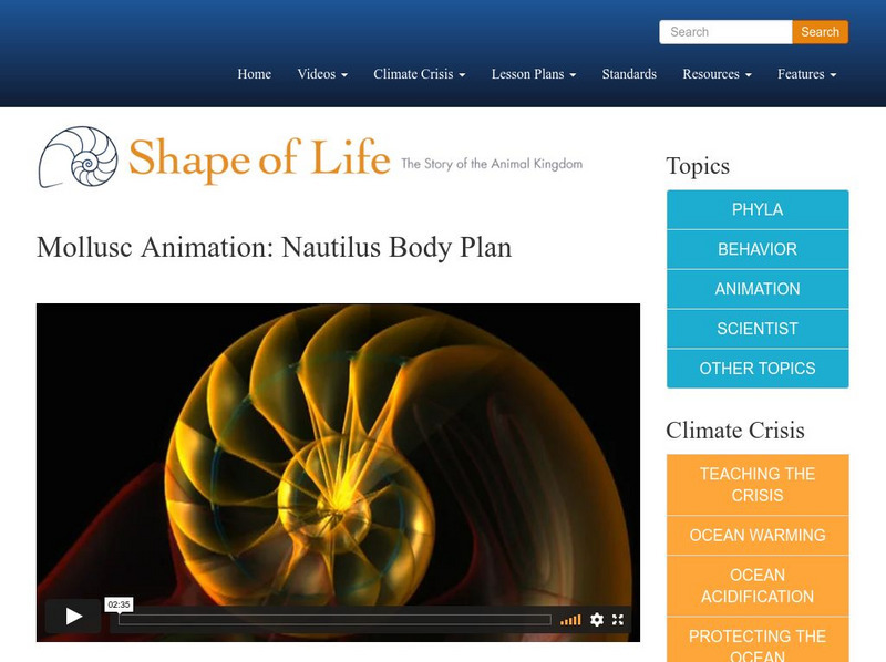 Shape of Life: Mollusc Animation: Nautilus Body Plan Instructional Video Shape of Life: Mollusc Animation: Nautilus Body Plan Instructional Video