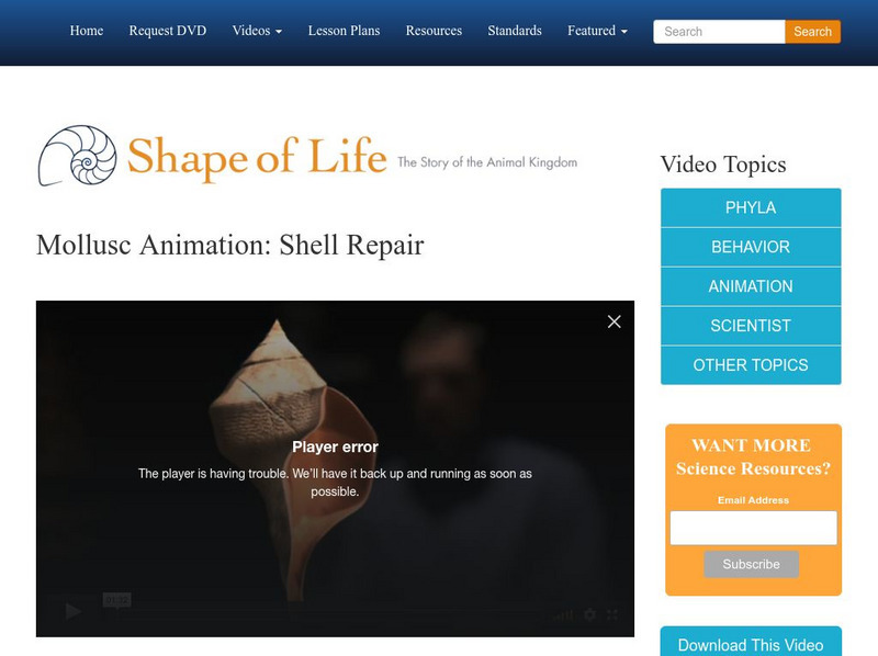 Shape of Life: Mollusc Animation: Shell Repair Instructional Video Shape of Life: Mollusc Animation: Shell Repair Instructional Video