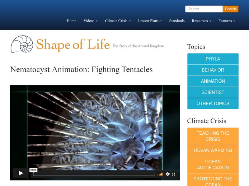 Shape of Life: Nematocyst Animation: Fighting Tentacles Instructional Video Shape of Life: Nematocyst Animation: Fighting Tentacles Instructional Video