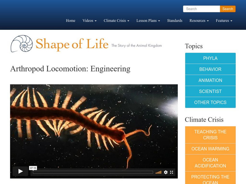 Shape of Life: Arthropod Locomotion: Engineering Instructional Video Shape of Life: Arthropod Locomotion: Engineering Instructional Video