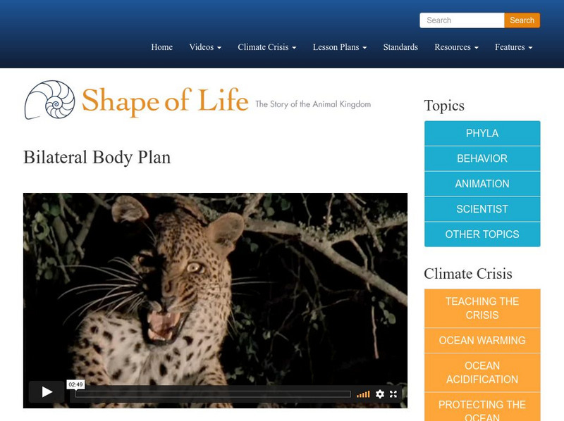 Shape of Life: Bilateral Body Plan Instructional Video Shape of Life: Bilateral Body Plan Instructional Video
