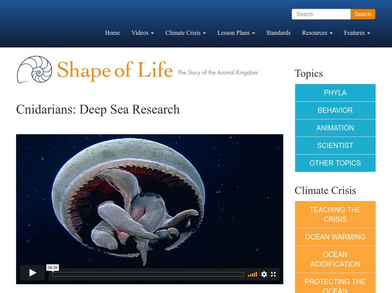 Shape of Life: Cnidarians: Deep Sea Research Instructional Video Shape of Life: Cnidarians: Deep Sea Research Instructional Video