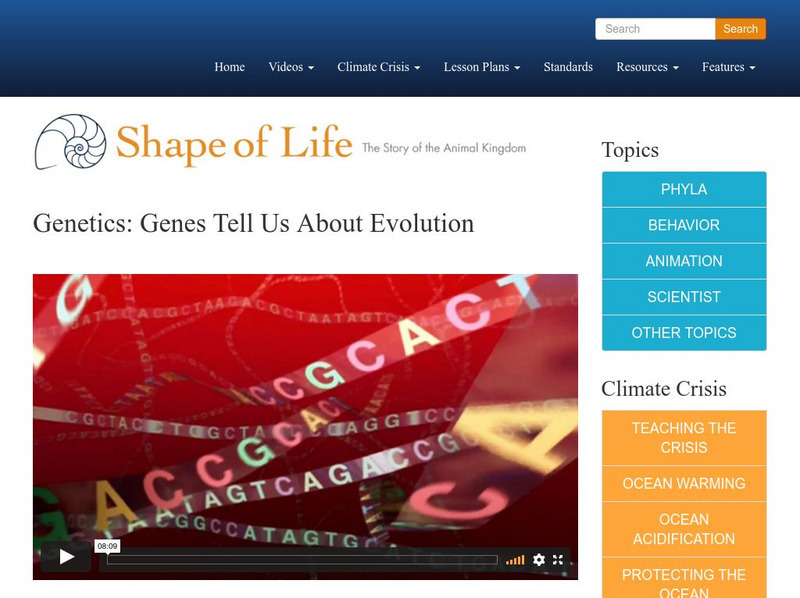 Shape of Life: Genetics: Genes Tell Us About Evolution Instructional Video Shape of Life: Genetics: Genes Tell Us About Evolution Instructional Video