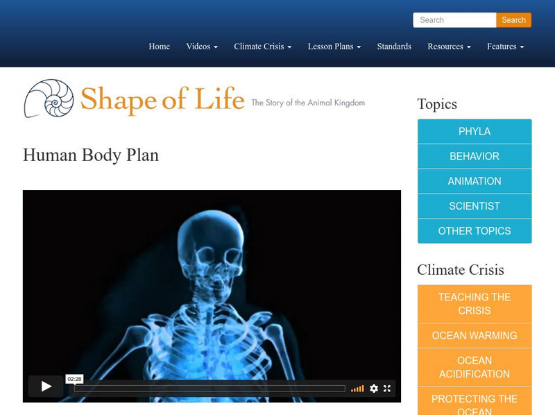 Shape of Life: Human Body Plan Instructional Video Shape of Life: Human Body Plan Instructional Video