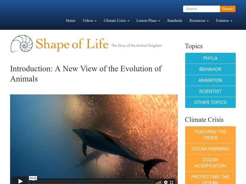 Shape of Life: Introduction: A New View of the Evolution of Animals Instructional Video Shape of Life: Introduction: A New View of the Evolution of Animals Instructional Video