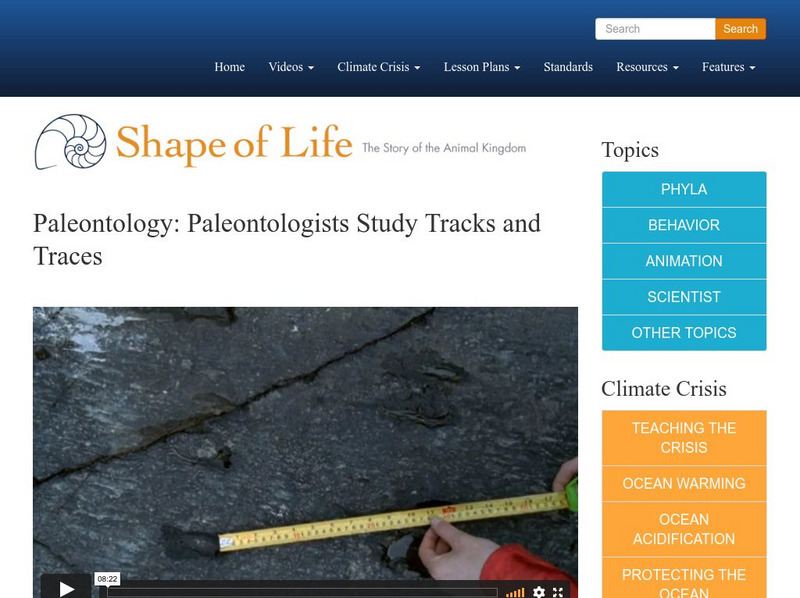 Shape of Life: Paleontology: Paleontologists Study Tracks and Traces Instructional Video Shape of Life: Paleontology: Paleontologists Study Tracks and Traces Instructional Video