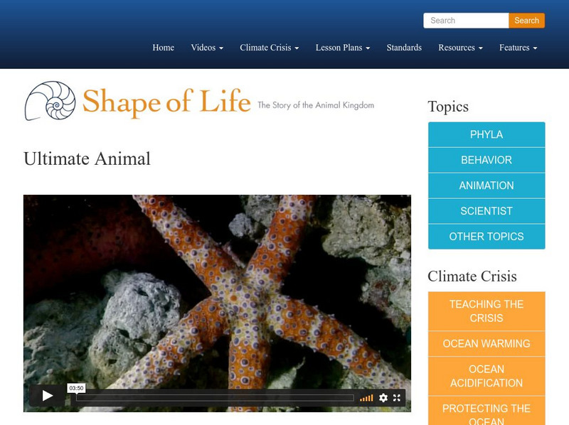 Shape of Life: The Story of the Animal Kingdom: Ultimate Animal Instructional Video Shape of Life: The Story of the Animal Kingdom: Ultimate Animal Instructional Video
