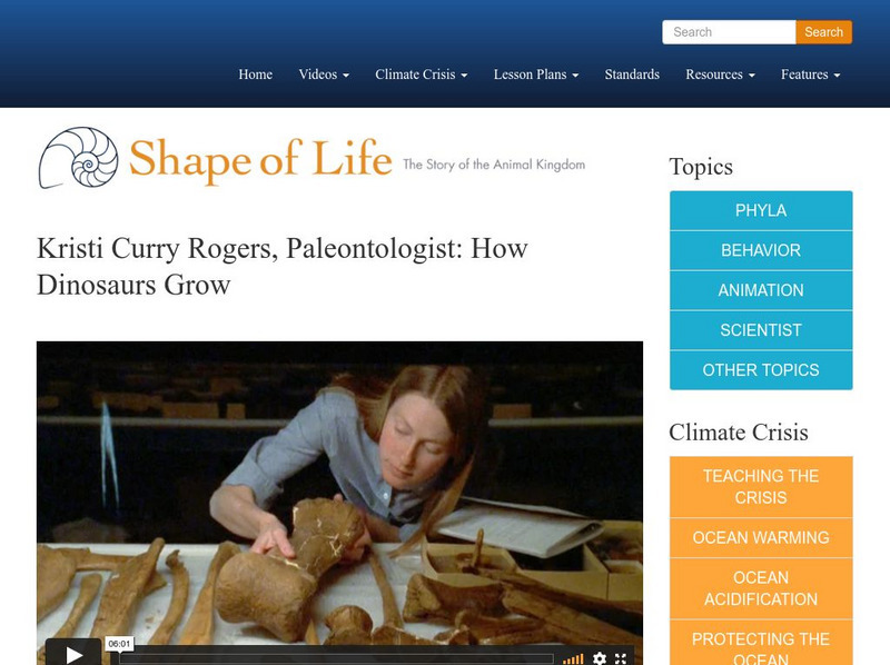 Shape of Life: Kristy Curry Rogers, Paleontologist: How Dinosaurs Grow Instructional Video Shape of Life: Kristy Curry Rogers, Paleontologist: How Dinosaurs Grow Instructional Video