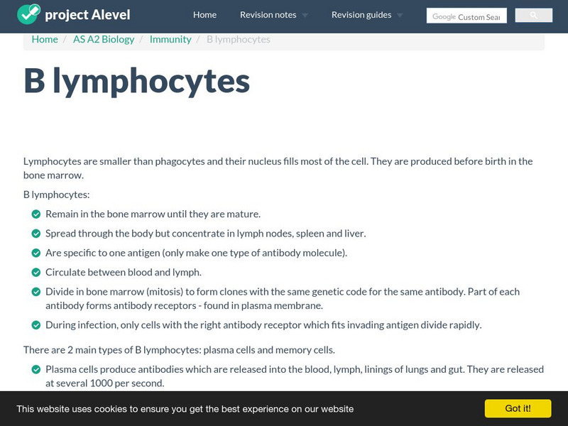 Project Alevel: B Lymphocytes Handout