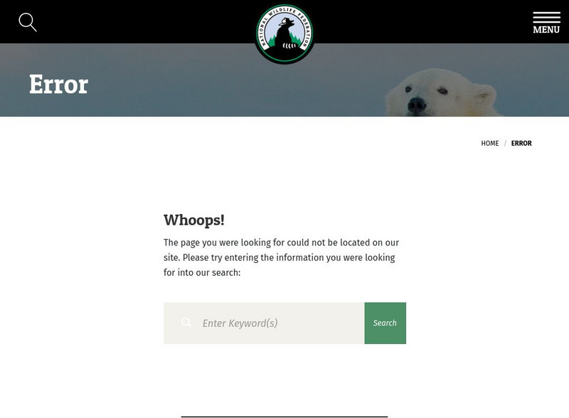 Ranger Rick's Go Wild!: Leapin' Lemurs! Website Ranger Rick's Go Wild!: Leapin' Lemurs! Website