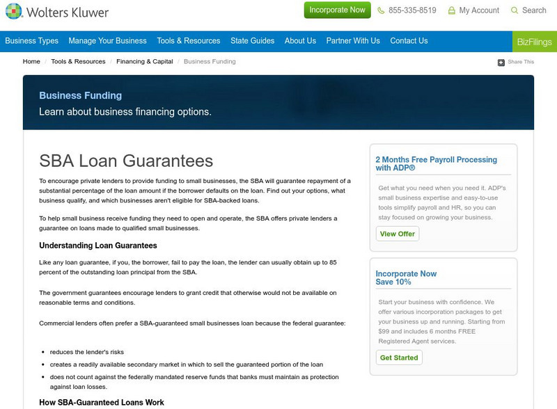 Small Business Guide: Sba "Low Doc" Loan Guarantee Program Article