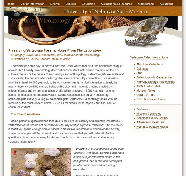 Univ. Of Nebraska Museum: Preserving Vertebrate Fossils Website