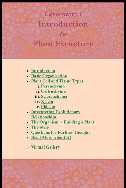 Ucmp: Introduction to Plant Structure Online Course Ucmp: Introduction to Plant Structure Online Course