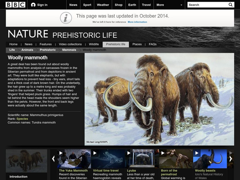 Bbc Nature: Prehistoric Life: Woolly Mammoth Handout