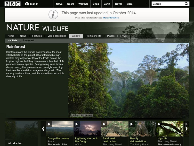 Bbc Nature: Wildlife: Rainforest Handout Bbc Nature: Wildlife: Rainforest Handout