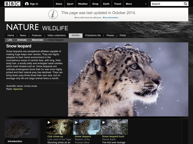 Bbc: Nature Wildfacts: Snow Leopard Handout Bbc: Nature Wildfacts: Snow Leopard Handout