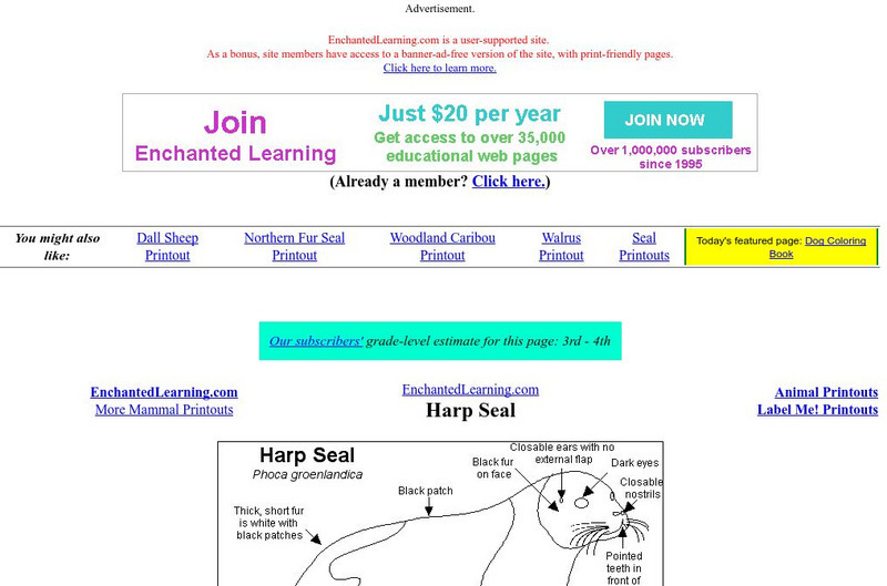 Enchanted Learning: Harp Seal Website