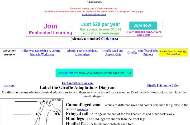 Enchanted Learning: Giraffe Adaptations Website