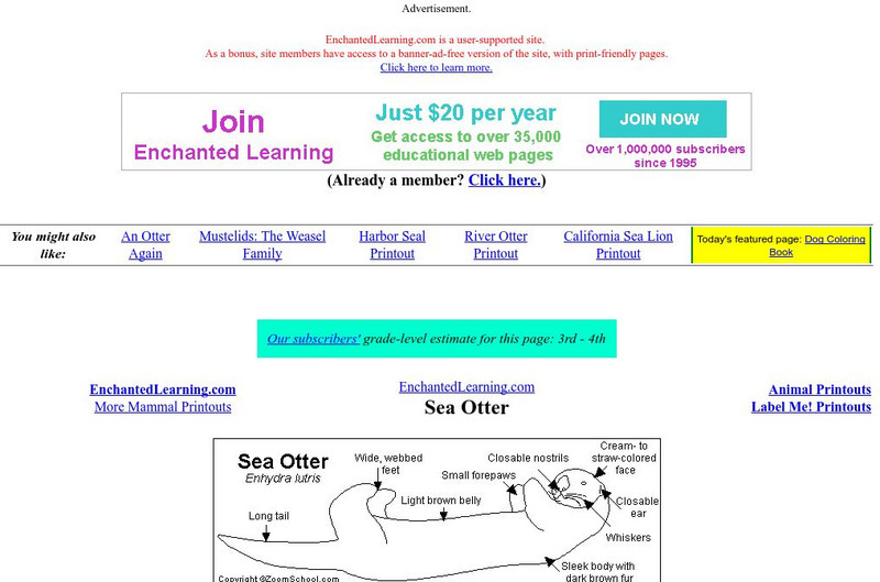 Enchanted Learning: Sea Otter Website Enchanted Learning: Sea Otter Website