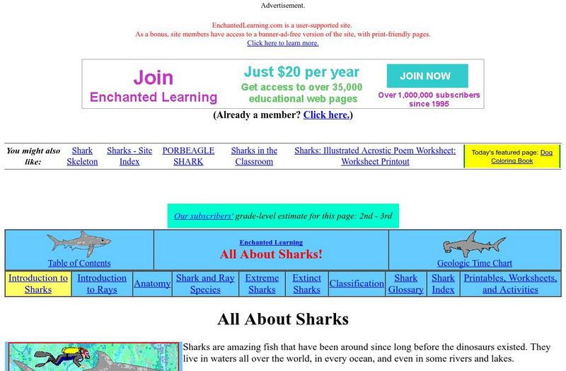 Enchanted Learning: Sharks Graphic Enchanted Learning: Sharks Graphic