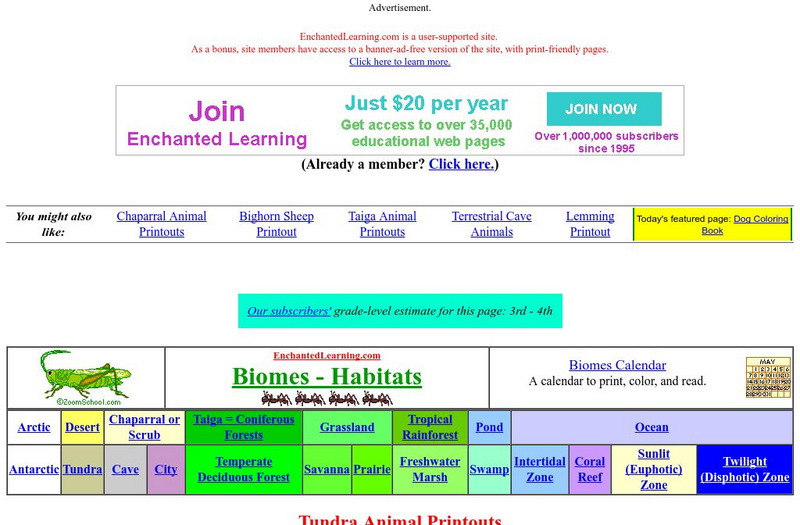 Enchanted Learning: Tundra Animals Website Enchanted Learning: Tundra Animals Website