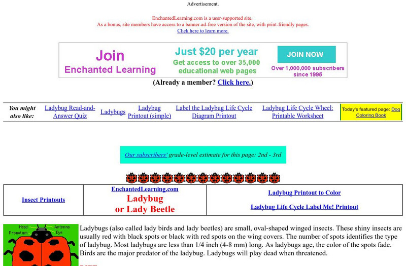 Enchanted Learning: Ladybug or Lady Beetle Activity Enchanted Learning: Ladybug or Lady Beetle Activity