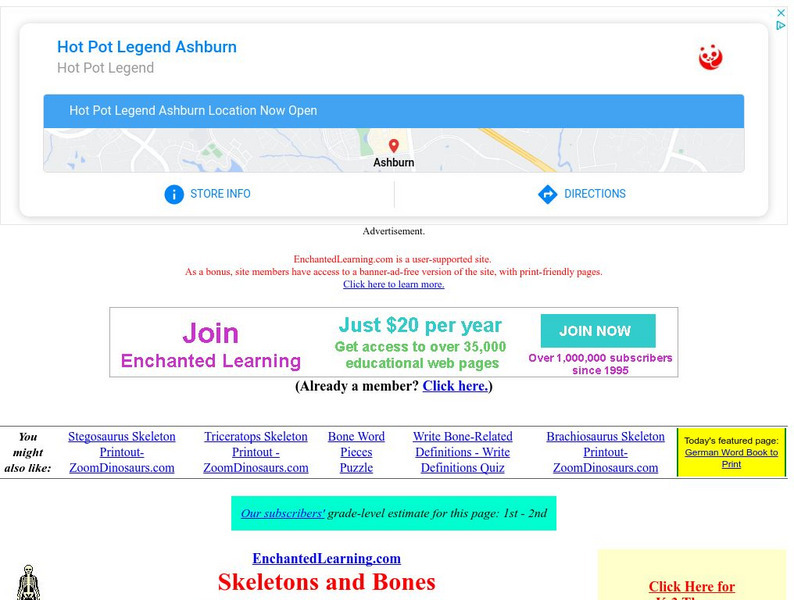 Enchanted Learning: Skeletons and Bones at Enchanted Learning Website Enchanted Learning: Skeletons and Bones at Enchanted Learning Website