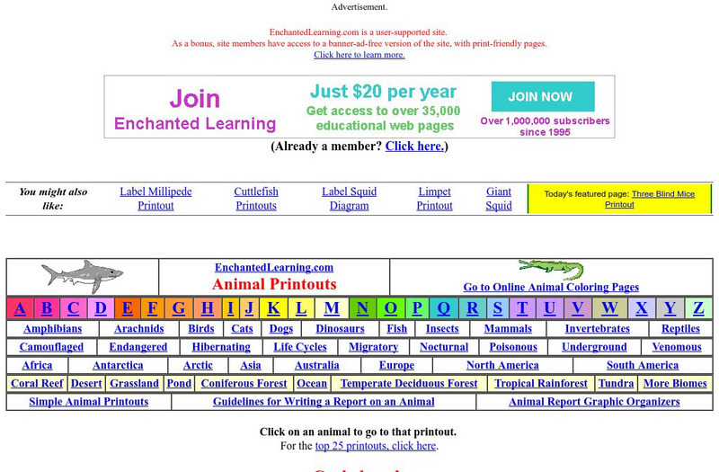 Enchanted Learning: Cephalopods Activity Enchanted Learning: Cephalopods Activity