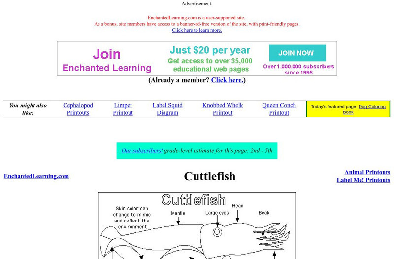 Enchanted Learning: Cuttlefish Handout Enchanted Learning: Cuttlefish Handout