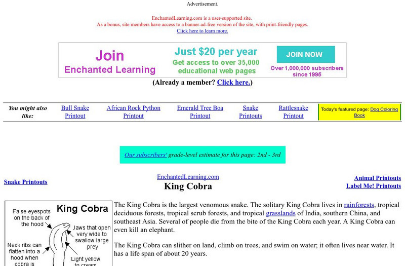 Enchanted Learning: King Cobra Website
