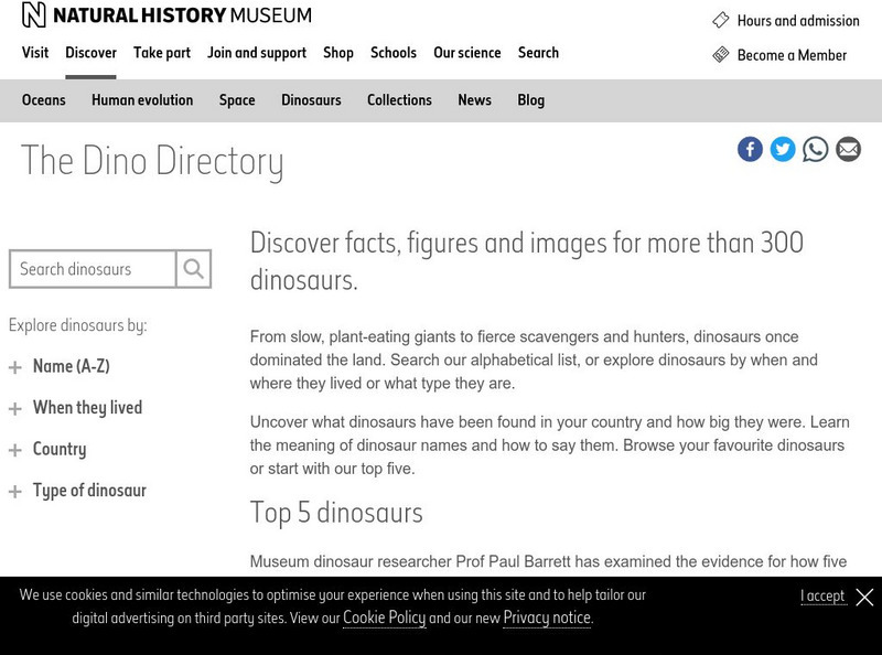 Natural History Museum: Dinosaurs Website Natural History Museum: Dinosaurs Website