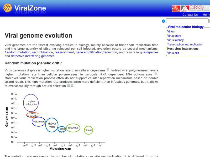 Viral Zone: Viral Genome Evolution Article Viral Zone: Viral Genome Evolution Article