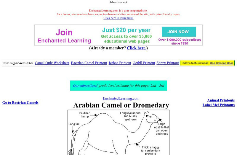 Enchanted Learning: Camels Website Enchanted Learning: Camels Website