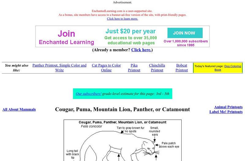 Enchanted Learning: Cougar, Puma, Mountain Lion, Panther, or Catamount Website Enchanted Learning: Cougar, Puma, Mountain Lion, Panther, or Catamount Website