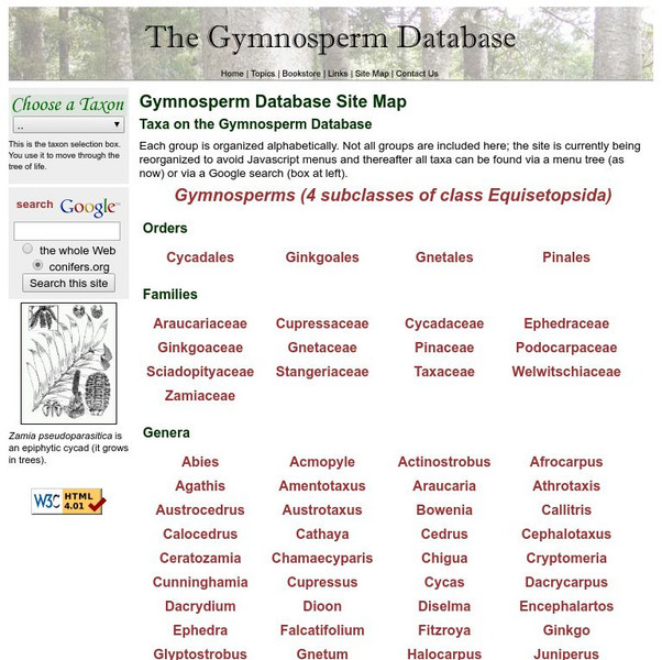 The Gymnosperm Database Handout The Gymnosperm Database Handout