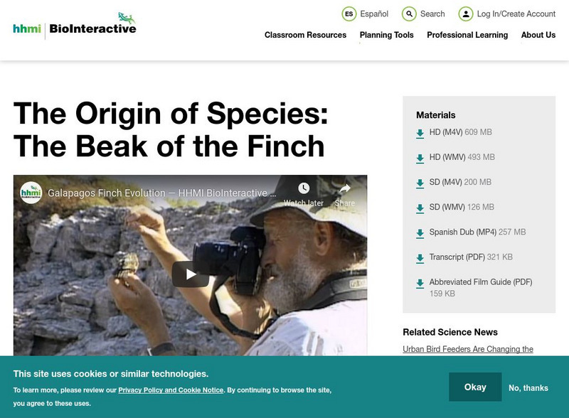 Hhmi: Bio Interactive: The Origin of Species: The Beak of the Finch Instructional Video